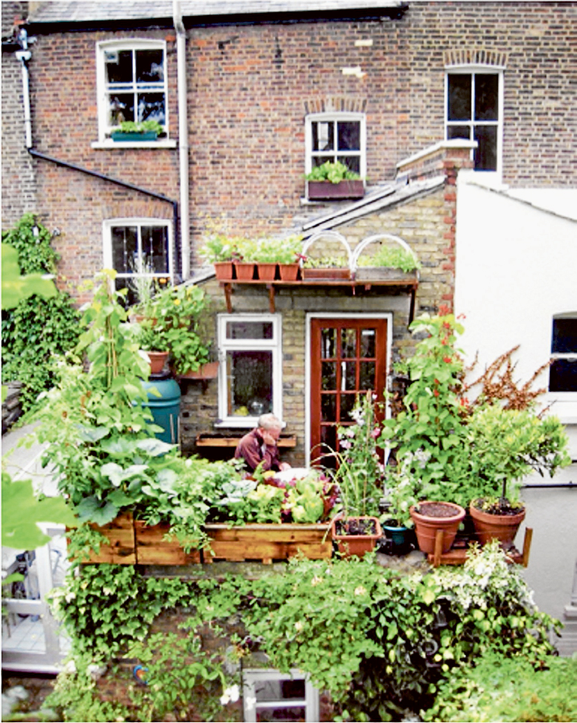 Why grow your own food locally?