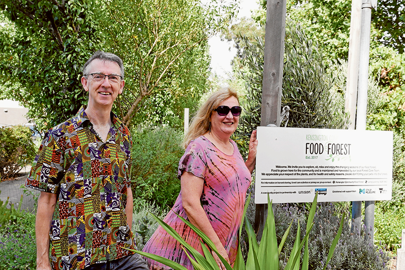 Transition Town Kensington: Sustainability from the ground up