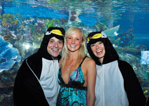Dancing with the fishes