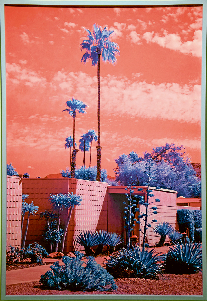 Between real and surreal