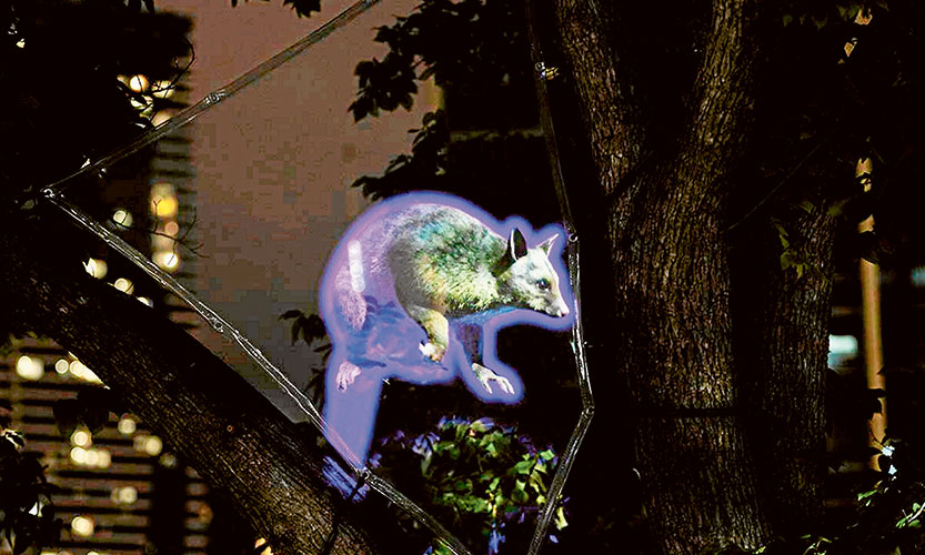 Animated possums on show in Carlton 