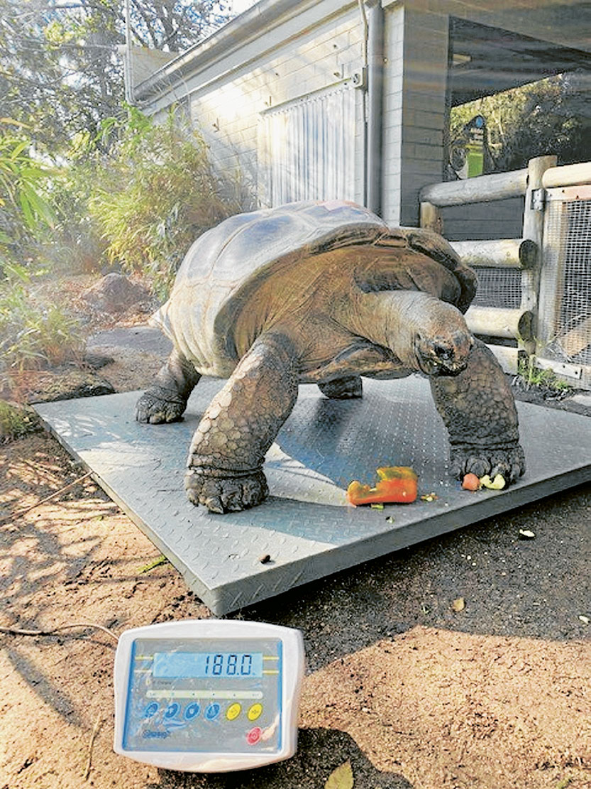 Healthy habits, happy animals
