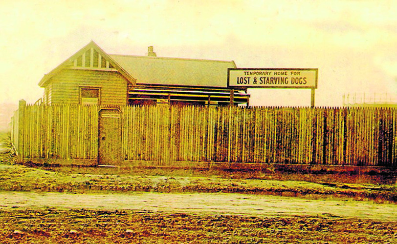 110 years of fighting for the underdog