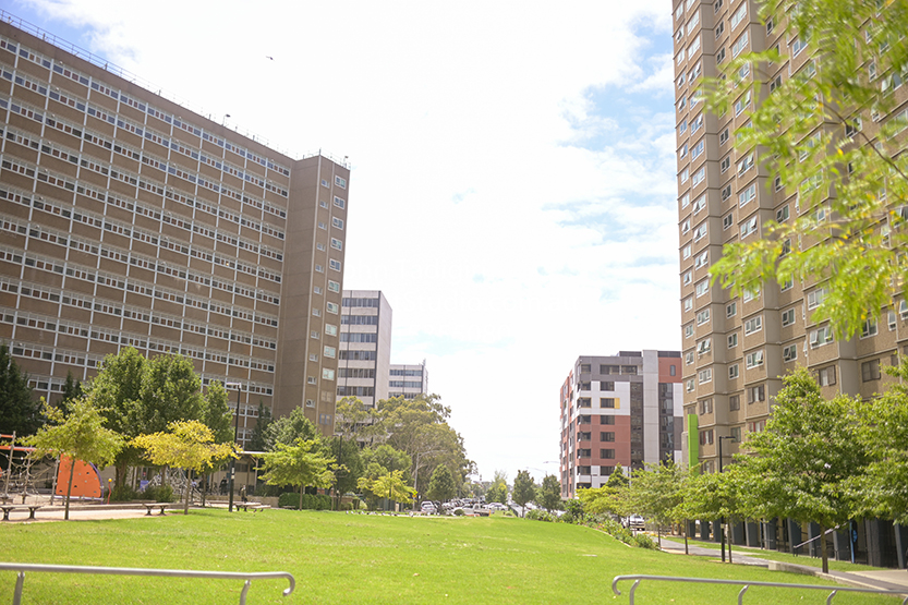 Lockdown causing mental anguish for housing tower residents