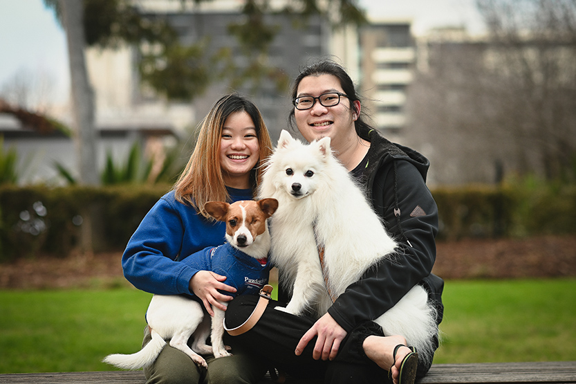 The great love story of Tofu and Bruno