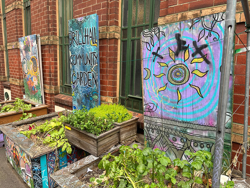 The robust CBD garden providing calm amongst the chaos