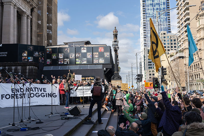 Rally to end native forest logging