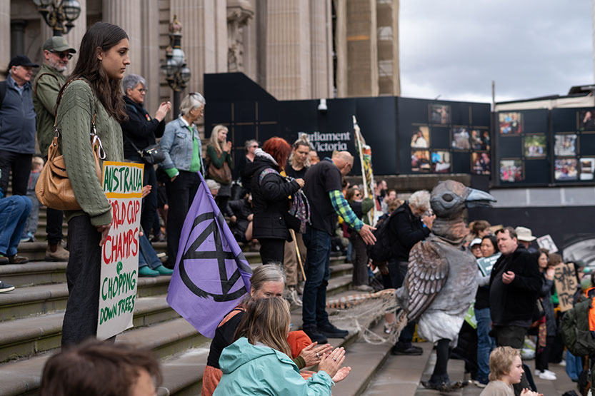 Rally to end native forest logging