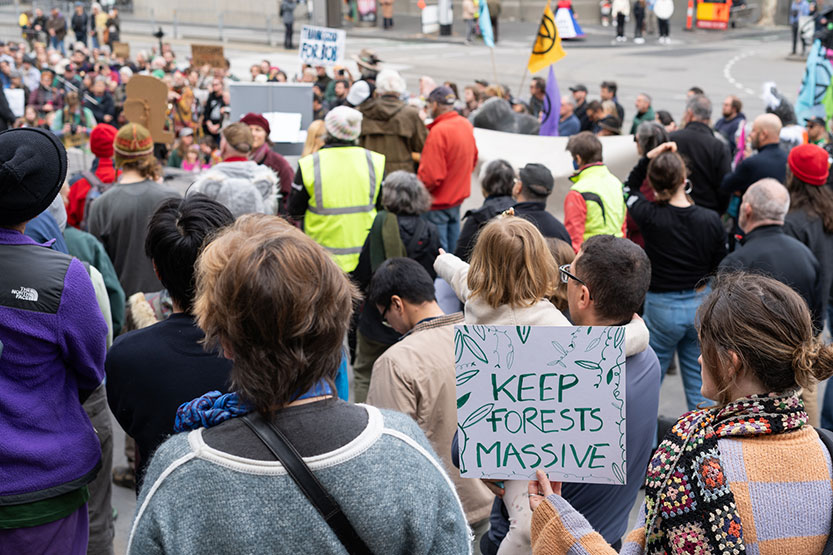 Rally to end native forest logging
