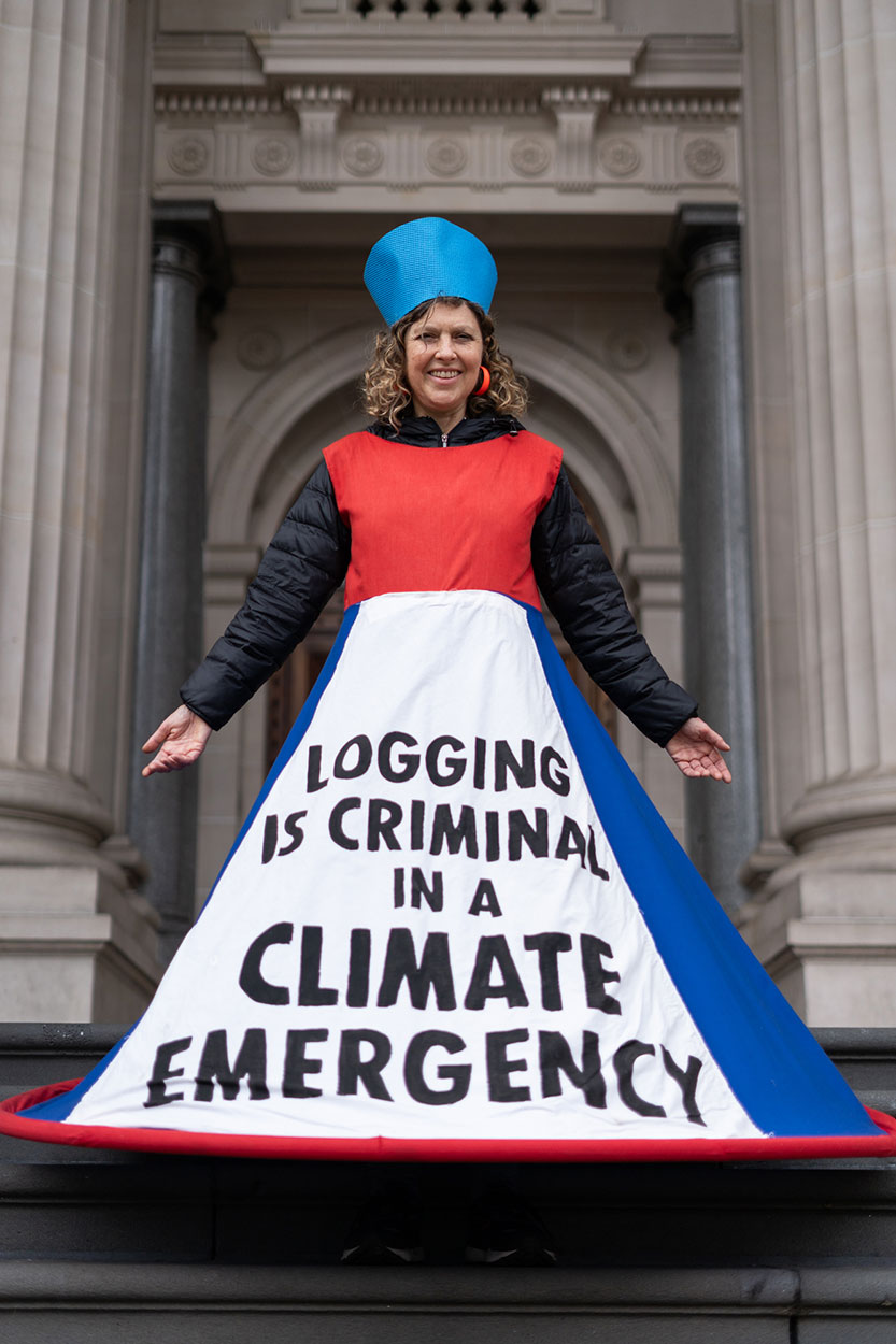 Rally to end native forest logging