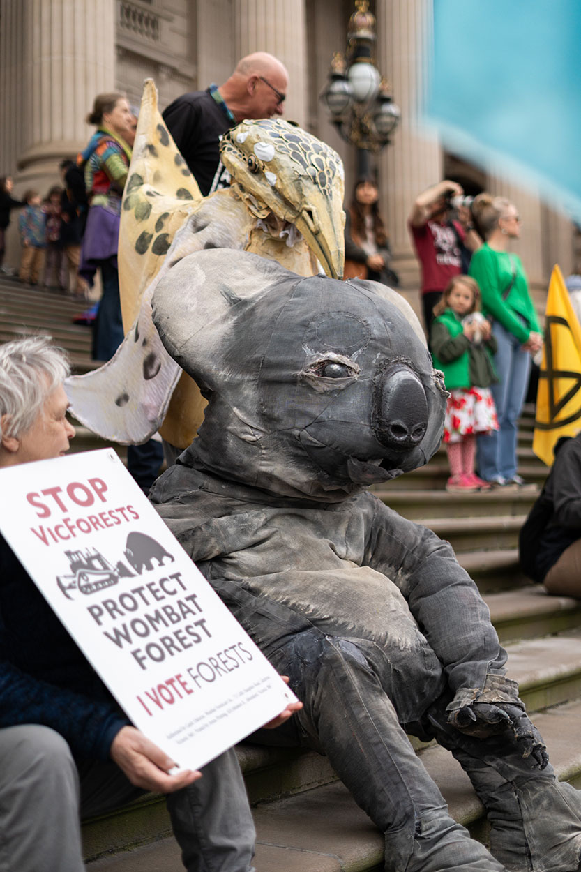 Rally to end native forest logging
