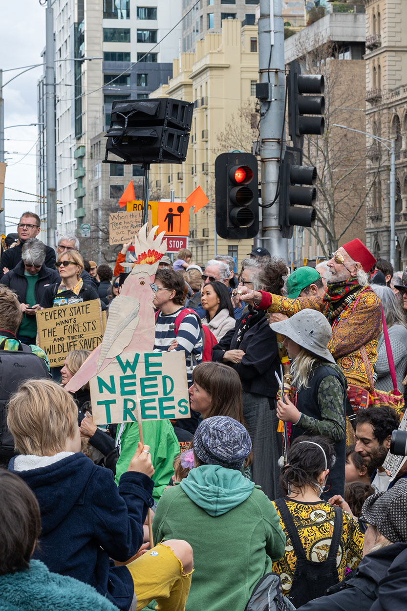 Rally to end native forest logging