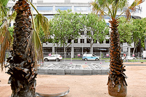 Palm trees cause a stir at Southbank Boulevard