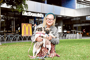 Pug-alicious Promenade 