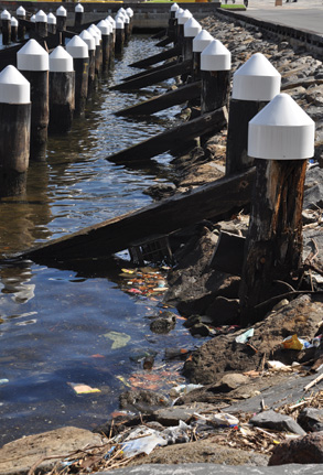 Call for Yarra River protection
