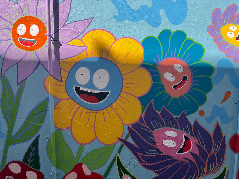 Eye’ll be watching: new street art deterring illegal dumping in Bullens Lane