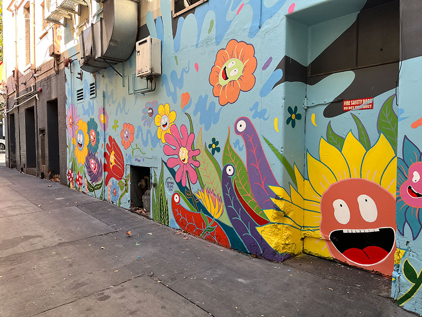 Eye’ll be watching: new street art deterring illegal dumping in Bullens Lane