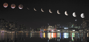 Total eclipse of the harbour