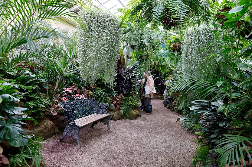 An oasis on the edge of the city