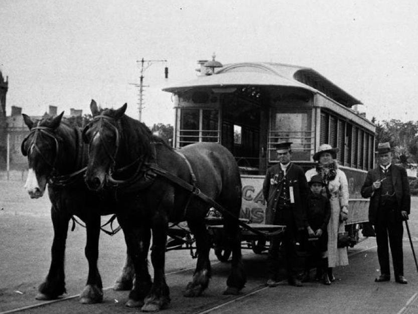 Horse-drawn trams in Royal Park