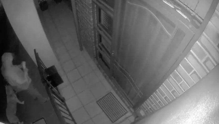 Mailbox thief caught on camera 