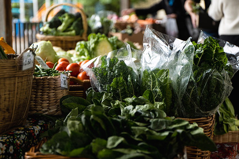 Council adopts new policy to address “unacceptable” food insecurity