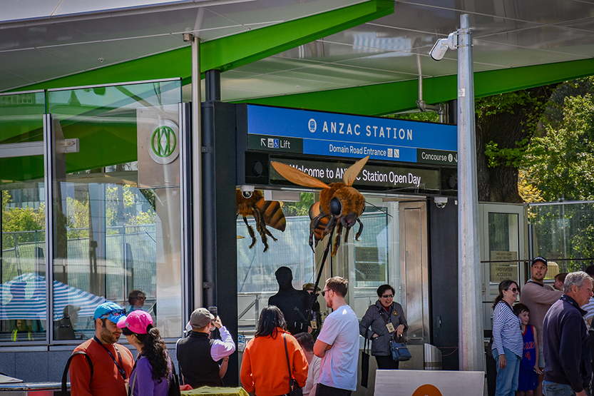 Community gets a sneak peek at Anzac Station