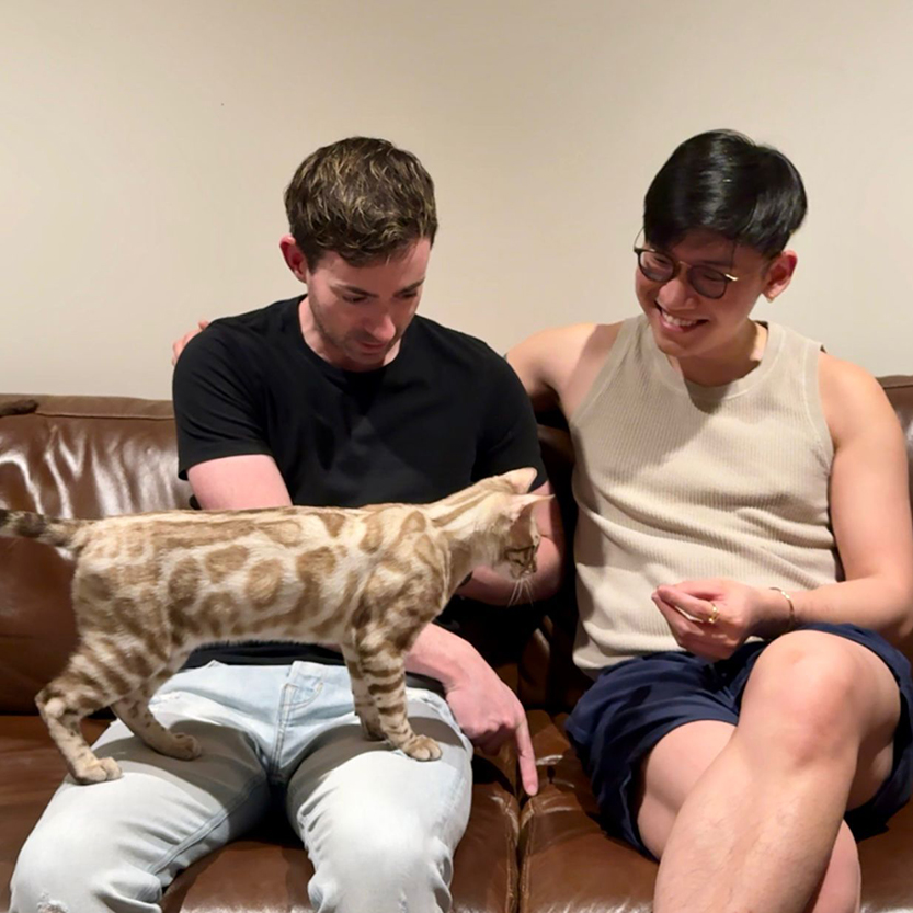 Cat-astrophe averted: Flagstaff Gardens’ leopard mystery solved 