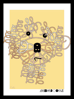 A fresh look at the amazing world of letters