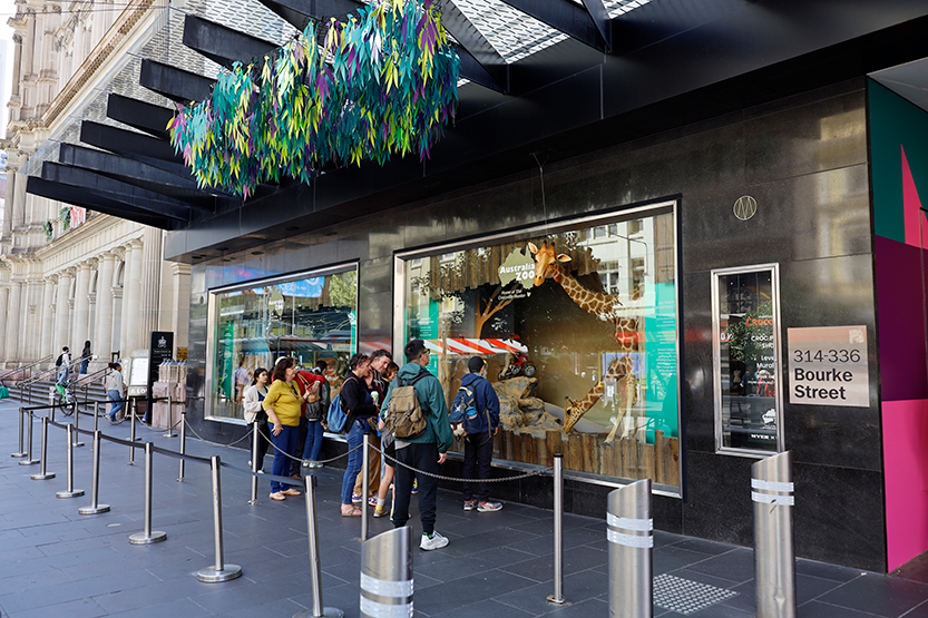 Protesters disrupt opening of Myer Christmas windows 