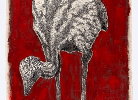 Off The Wall: New exhibition by indigenous artists blows audiences away