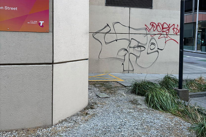 Private landholders limiting the City of Melbourne’s graffiti crackdown
