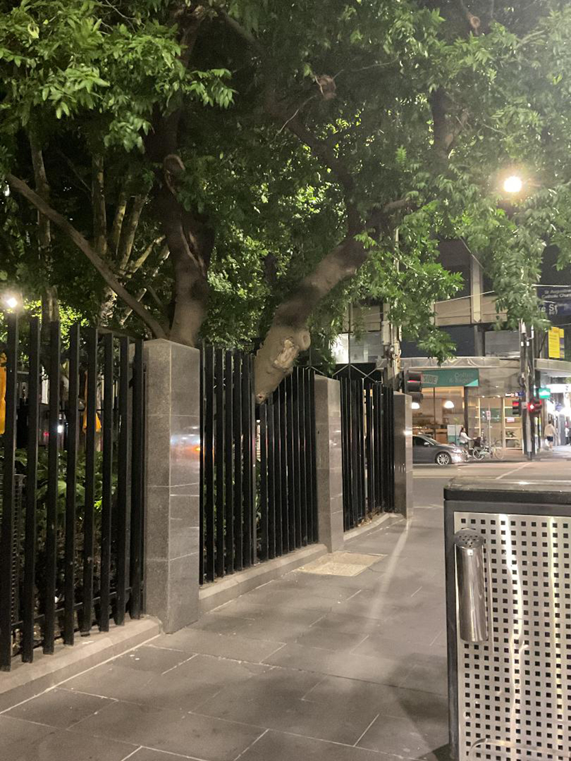 Down the rabbit hole in Melbourne