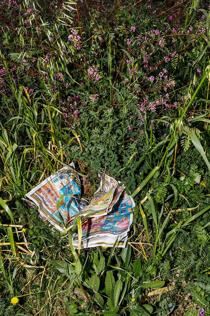 Storytelling the heart of Dane’s work