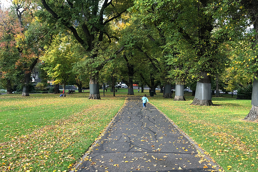 Parks and playgrounds