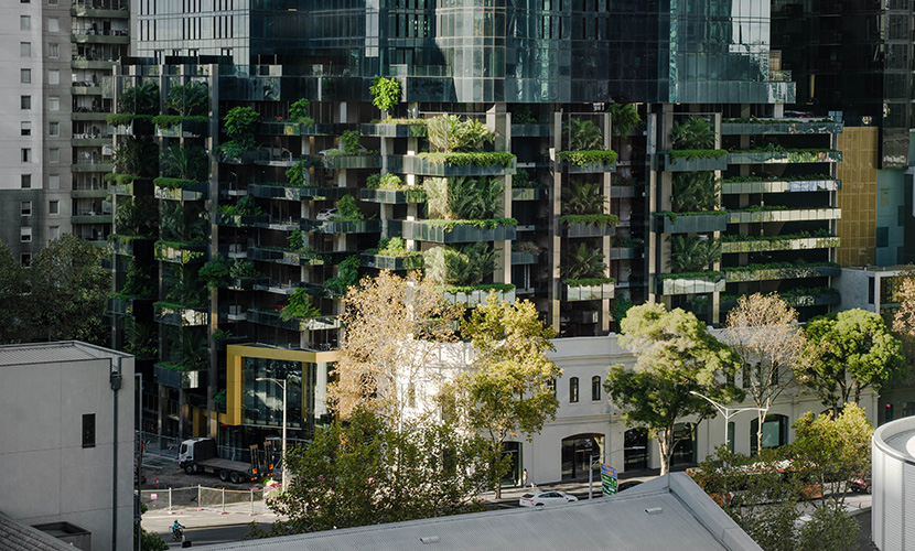 Australia 108 reaches new heights