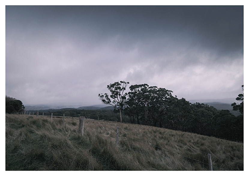 Keeping stories and memories alive through photography