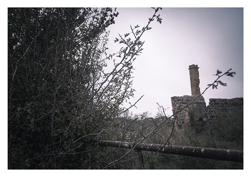 Keeping stories and memories alive through photography