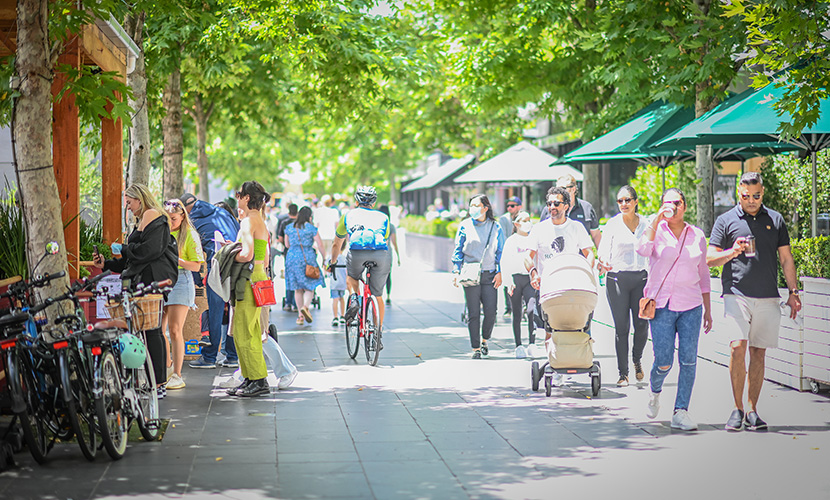 Population doubles in a decade as census reveals Southbank to be a young, multicultural hub