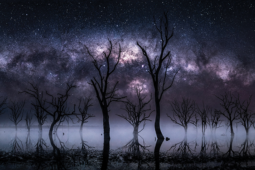 Creating meaning and purpose through photography