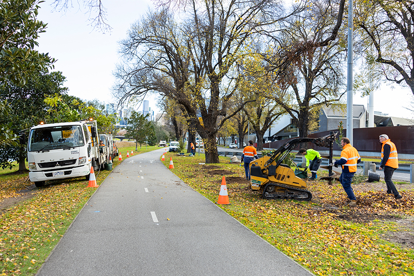 Council celebrates milestone with 3000th tree planted on Batman Avenue