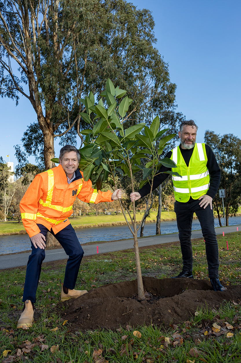 Council celebrates milestone with 3000th tree planted on Batman Avenue