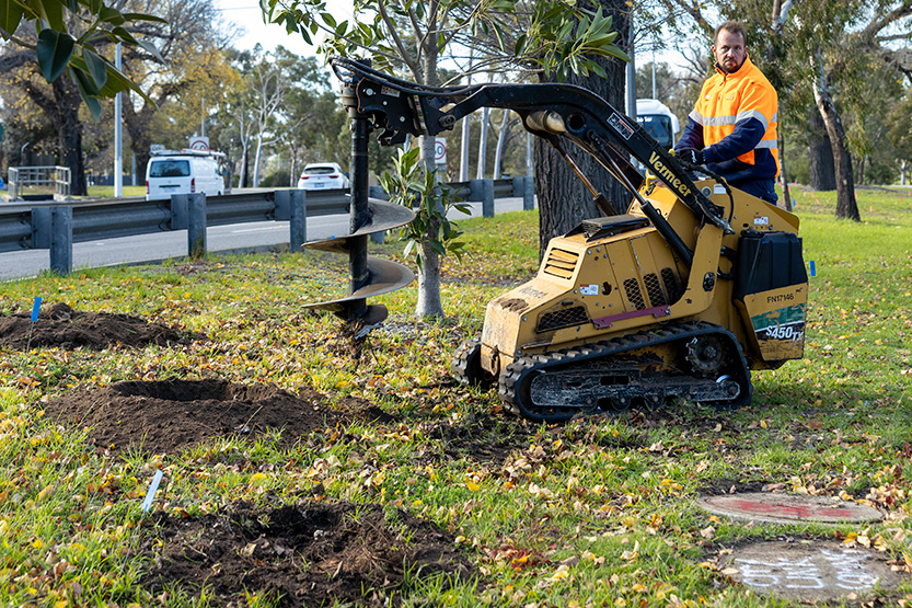 Council celebrates milestone with 3000th tree planted on Batman Avenue