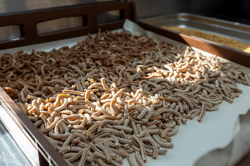 Local chef leads the charge against food waste