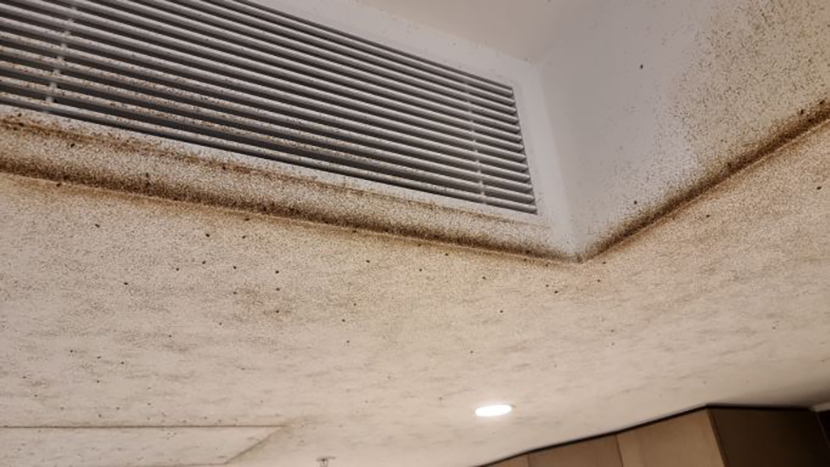 Rental providers beware!