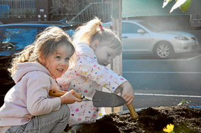 Tree planting day