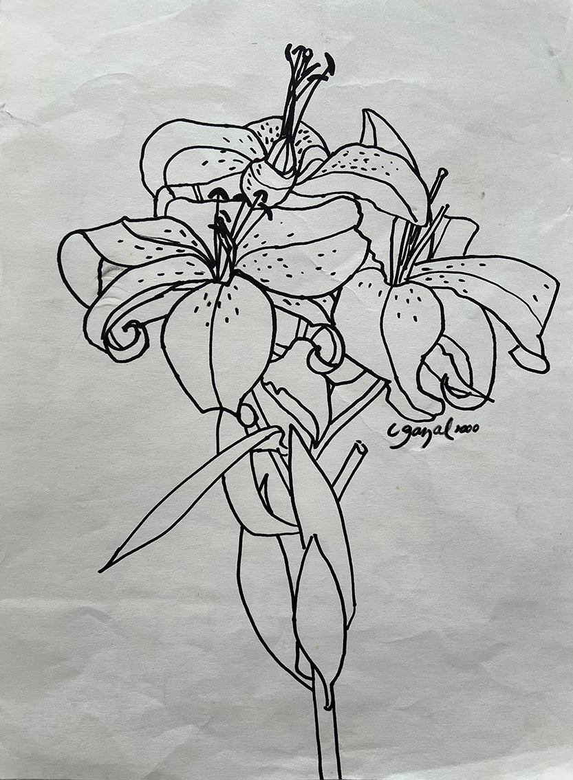 Unlocking the artist within: Lyn Gazal tells the secret of drawing well …