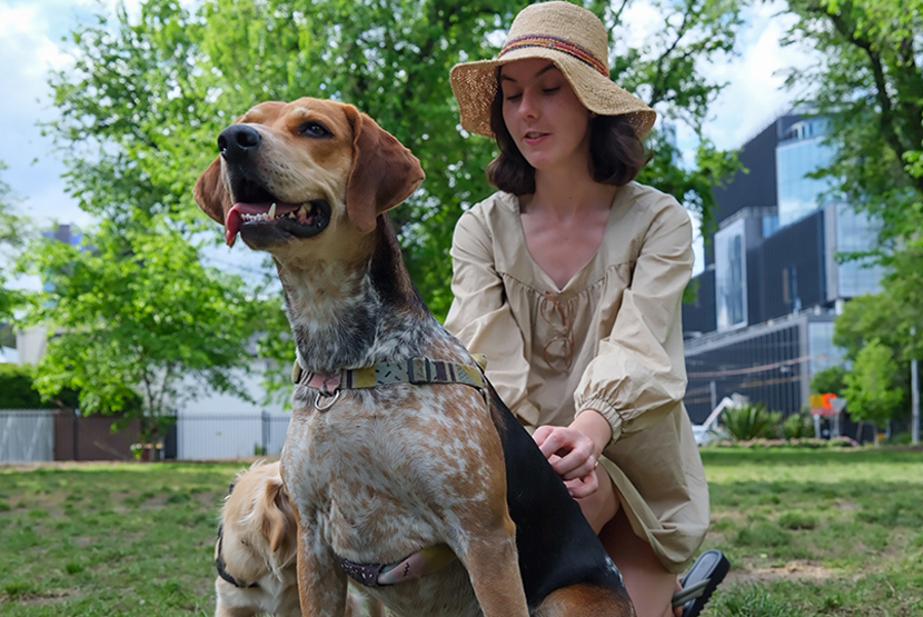 Council to seek the community’s say over much-needed dog park upgrade 