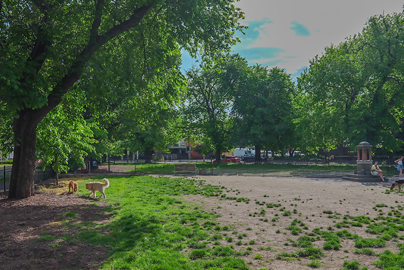 Council to seek the community’s say over much-needed dog park upgrade 