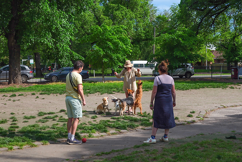 Council to seek the community’s say over much-needed dog park upgrade 